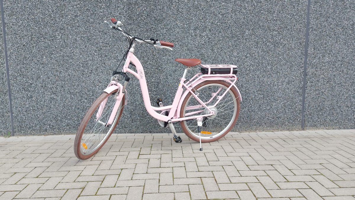 elektrische fiets dames meisjes roze 28 inch 46cm frame 7 versnellingen 360 wh accu
