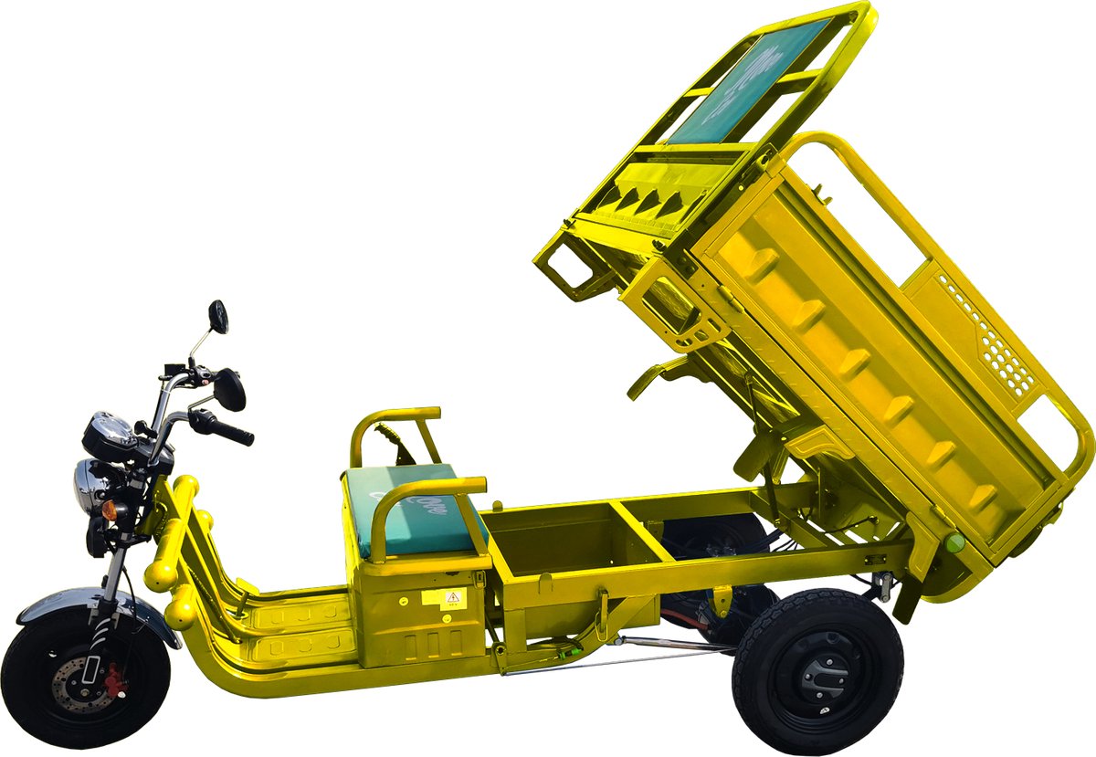 elektrische tuk tuk cargo 500 rdw goedgekeurd kipper max 500 kg laadvermogen