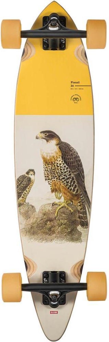 Globe Pintail 34 - Falcon longboard Longboard kopen online