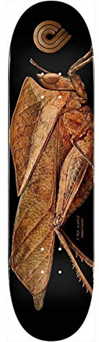 Skate Deck 8,5 x 32,08 cm - Standaard Vorm van 100% Esdoorn Skateonderdeel kopen online