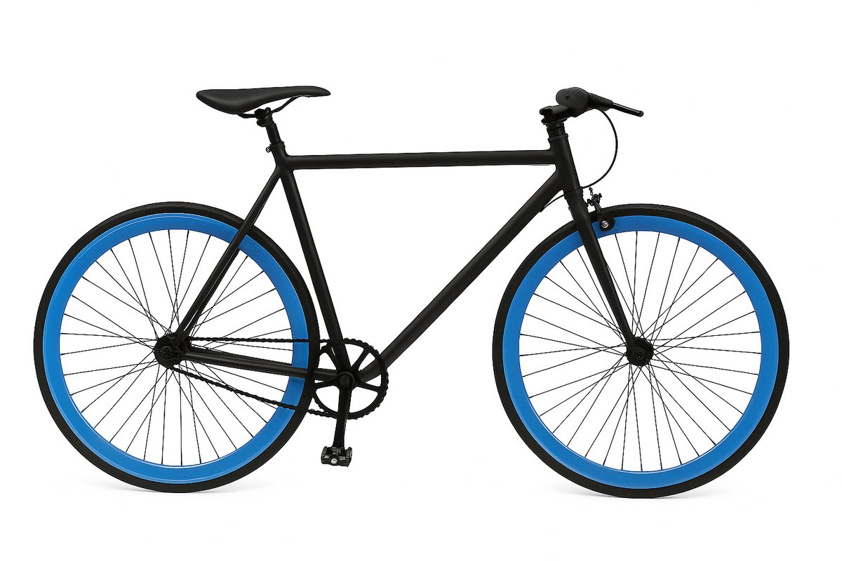 vidaxl bike heren fiets zwart 28 inch fiets 59 cm blauwe velgen