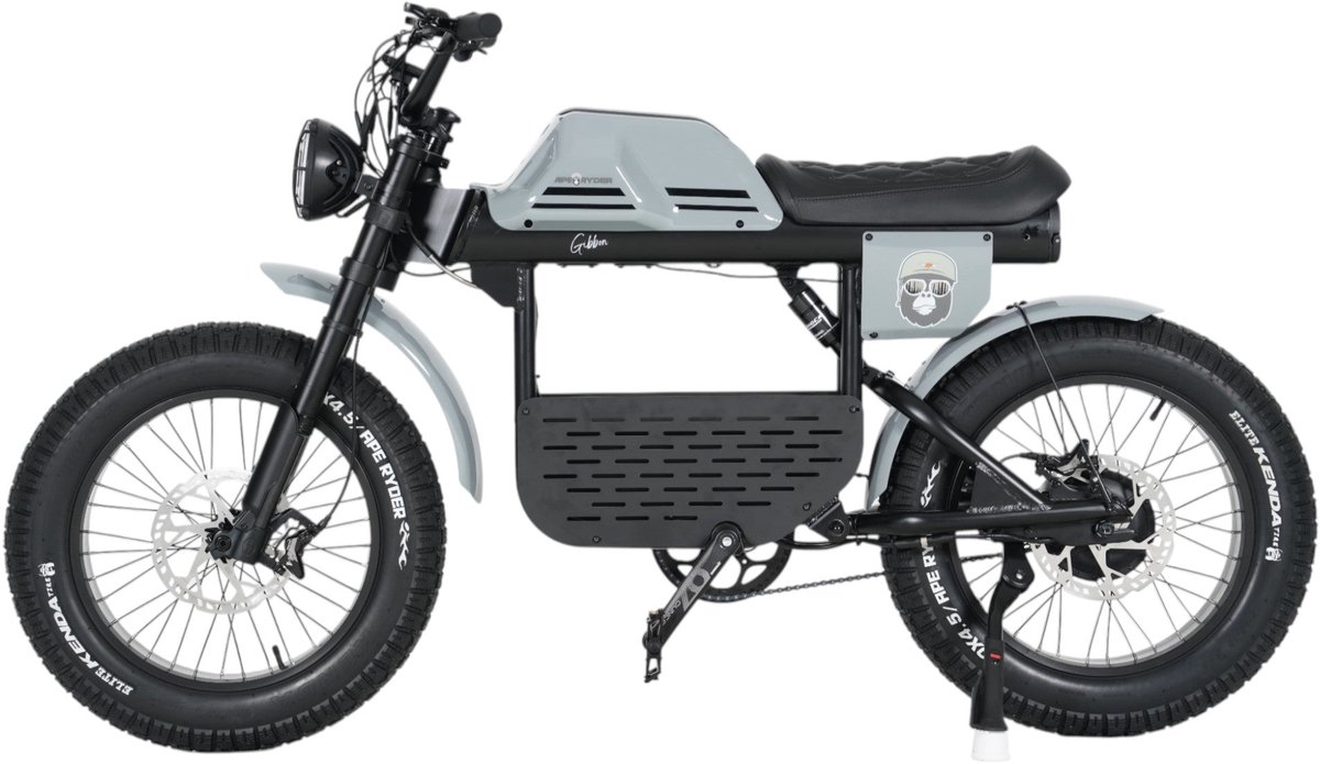 Ape Ryder Gibbon - Fatbike - Nardo Grijs - 20x4.5 inch - Accu 960Wh (48V, 20Ah) - 250W Achterwielmotor - Hydraulische Remmen Fiets (elektrisch) kopen online