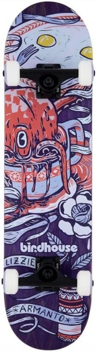 compleet skateboard stage 3 pro kwaliteit houten skateboard voor beginners en gevorderden