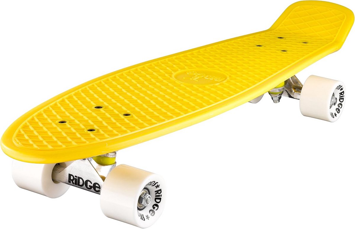 Cruiser Skateboard 69 cm Retro Design Duurzaam Kunststof Skateonderdeel kopen online