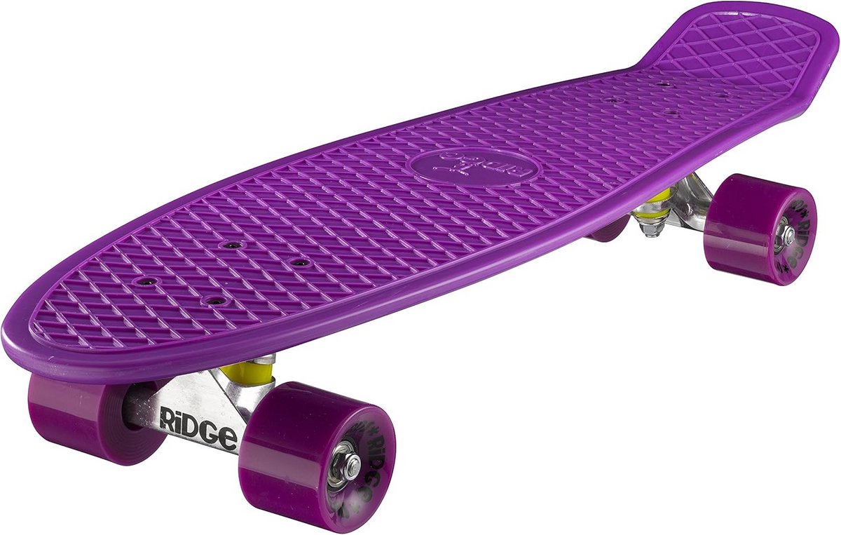 cruiser skateboard 69 cm voor volwassenen en jongeren flexibel deck