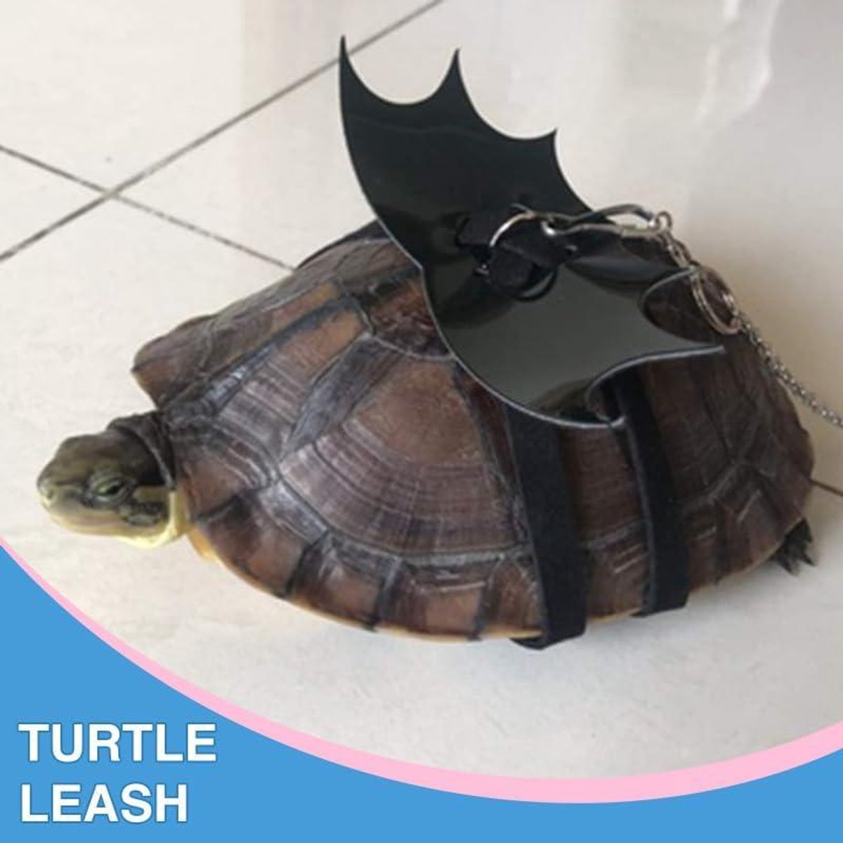 Driewiel-kinderfiets - fiets voor jongens en meisjes van 3 tot 5 jaar - met mandje en zijwieltjes - blauw rood groen - duurzaam en veilig - geschikt voor kleuters - leuke kinderfiets met mand Kinderfiets kopen online