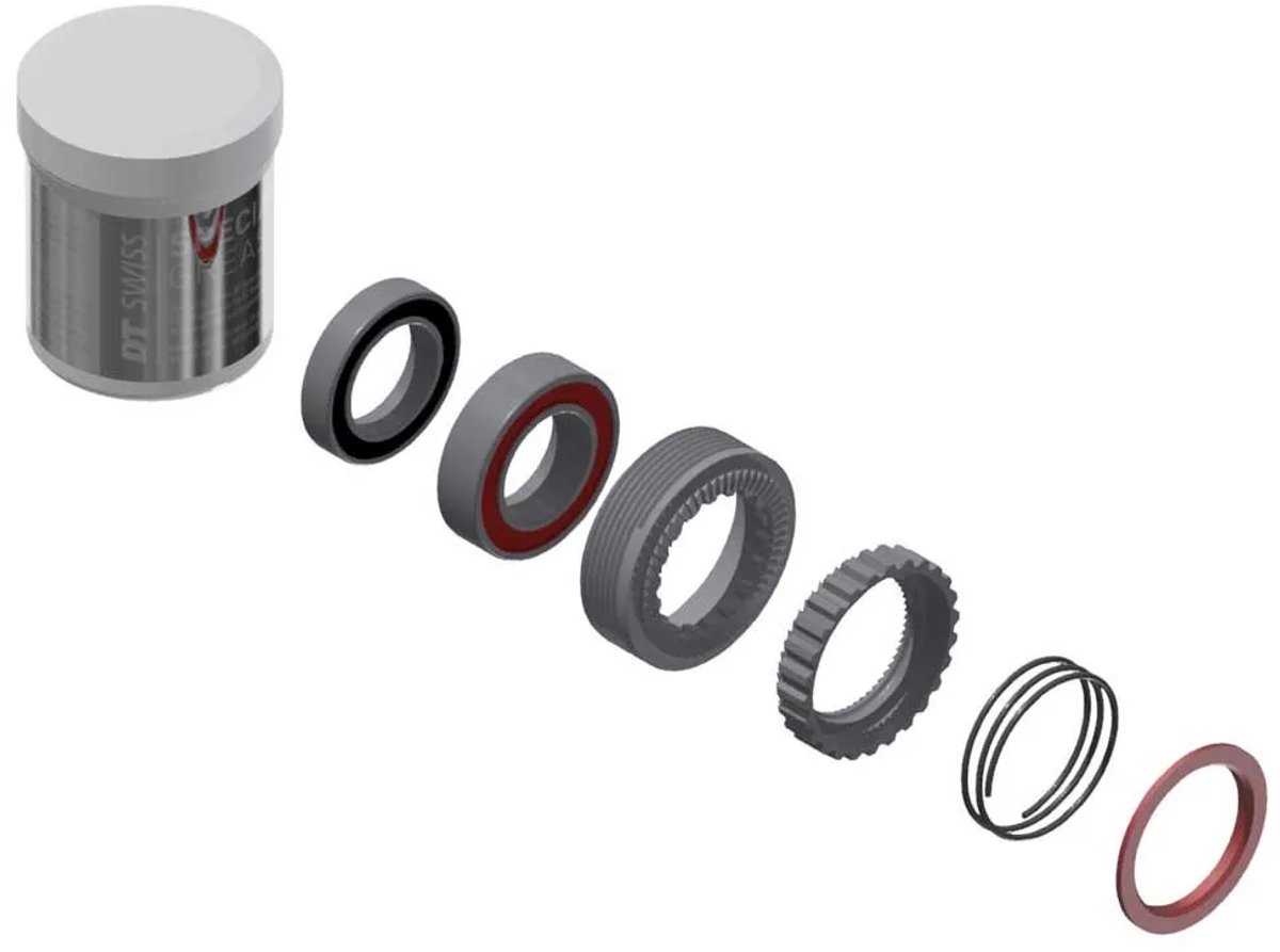 Dt Swiss Ratchet 54t 180 Exp Servicekit Grijs Naven kopen online