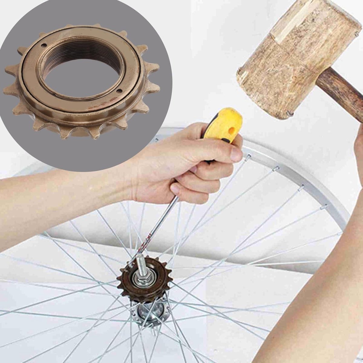 Fietsonderdeel- Fietsaccessoire - Vrijloop - 16 Tanden - Fietscassette - Met Één Snelheid - City Commuting Leisure Cycling - Geschikt voor Citybikes - Zwart. Fiets kopen online