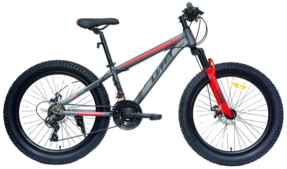 Umit Spartan X 24´´ Fiets Grijs Jongen Kinderfiets kopen online