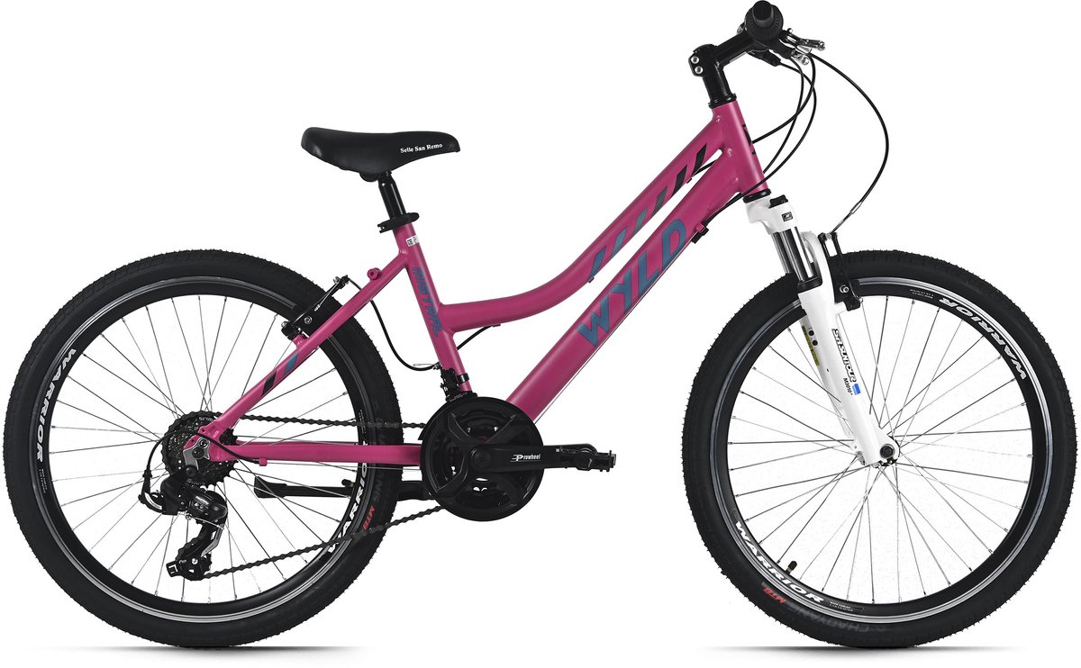 WYLD kinderfiets meisjes 24" Mistral roze 18 versnellingen framemaat 38 cm – vanaf 8 jaar Kinderfiets kopen online