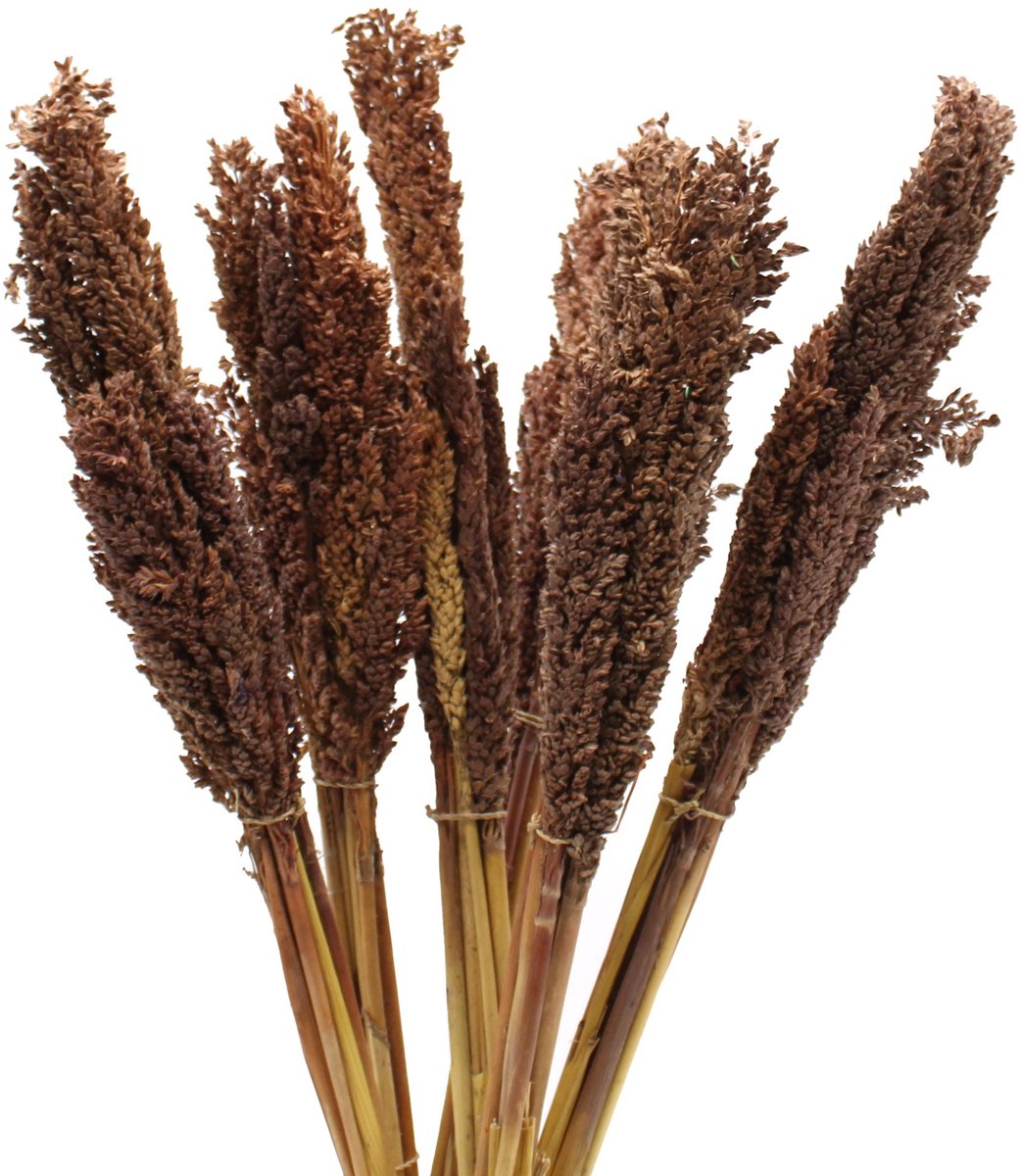 ancient wisdom decoratief beeld cantal grass bunch kwartscluster decoratie interieur kunst ornament beeld