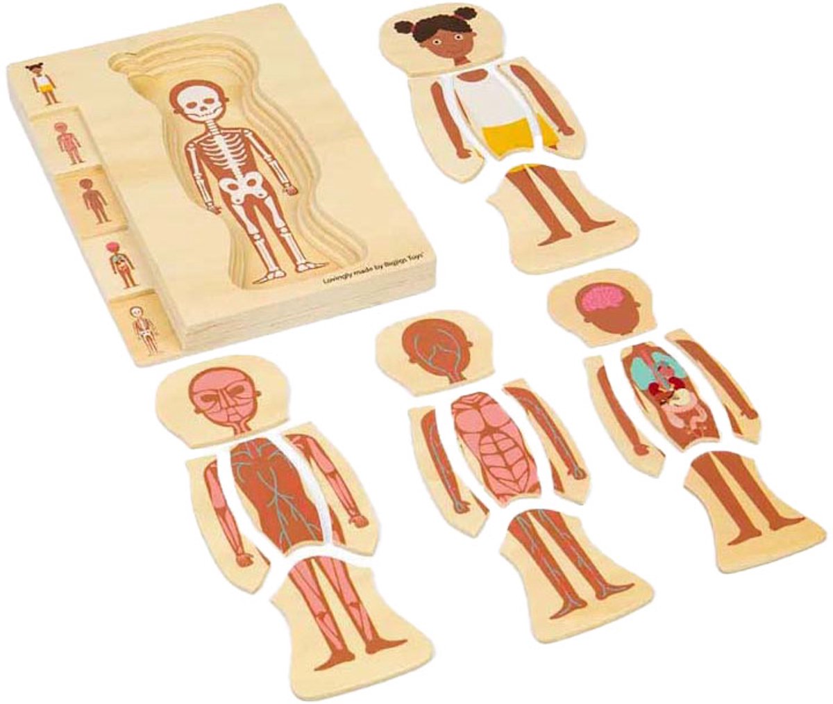 BigJigs houten anatomiepuzzel meisje educatief speelgoed 26 stukjes. Step kopen online