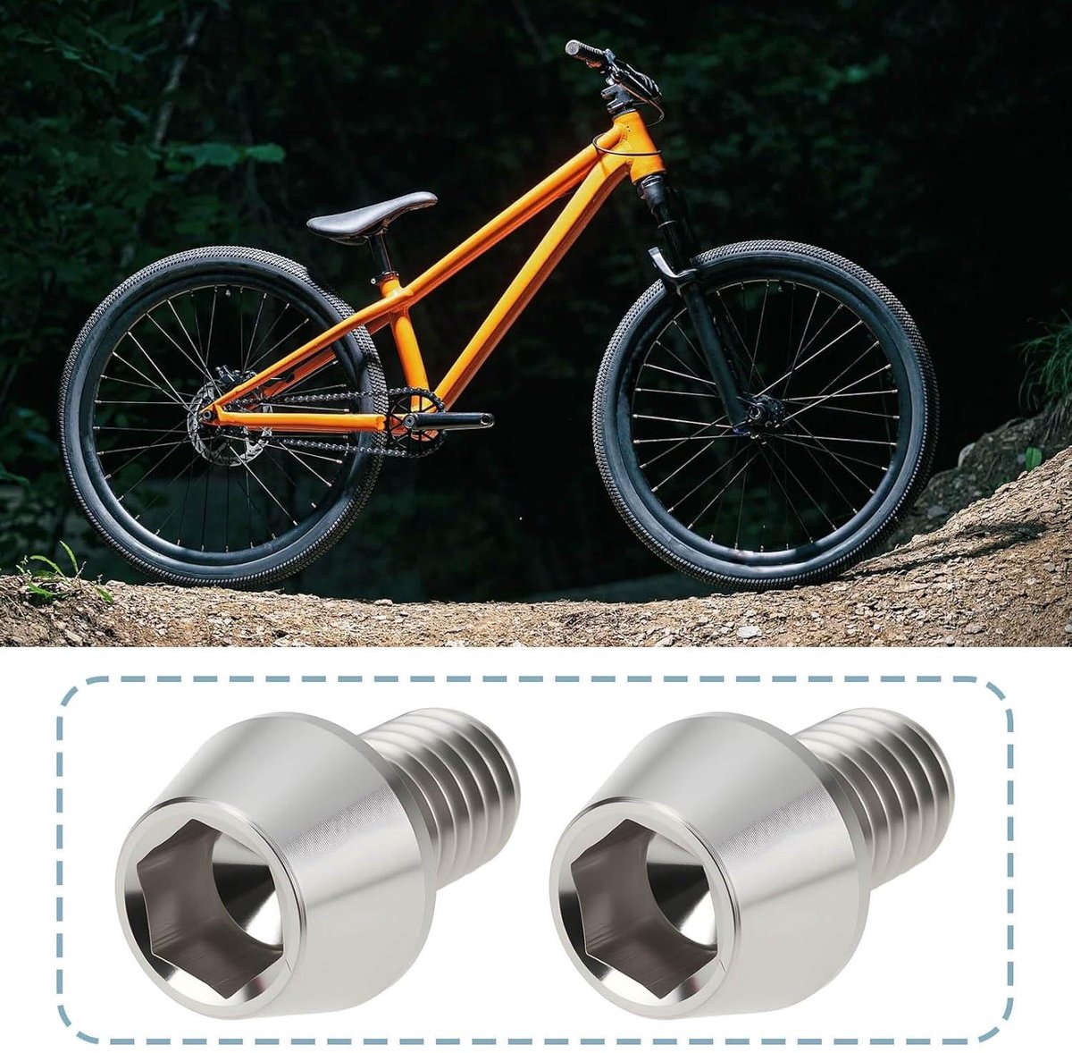 Allecto- Zeskant Socket Schroeven - M6x10mm - Met Titanium Coating - 2 stuks - Compatibel met Chopper en Dirt Jump Bikes - Titanium Kleur. Fiets kopen online