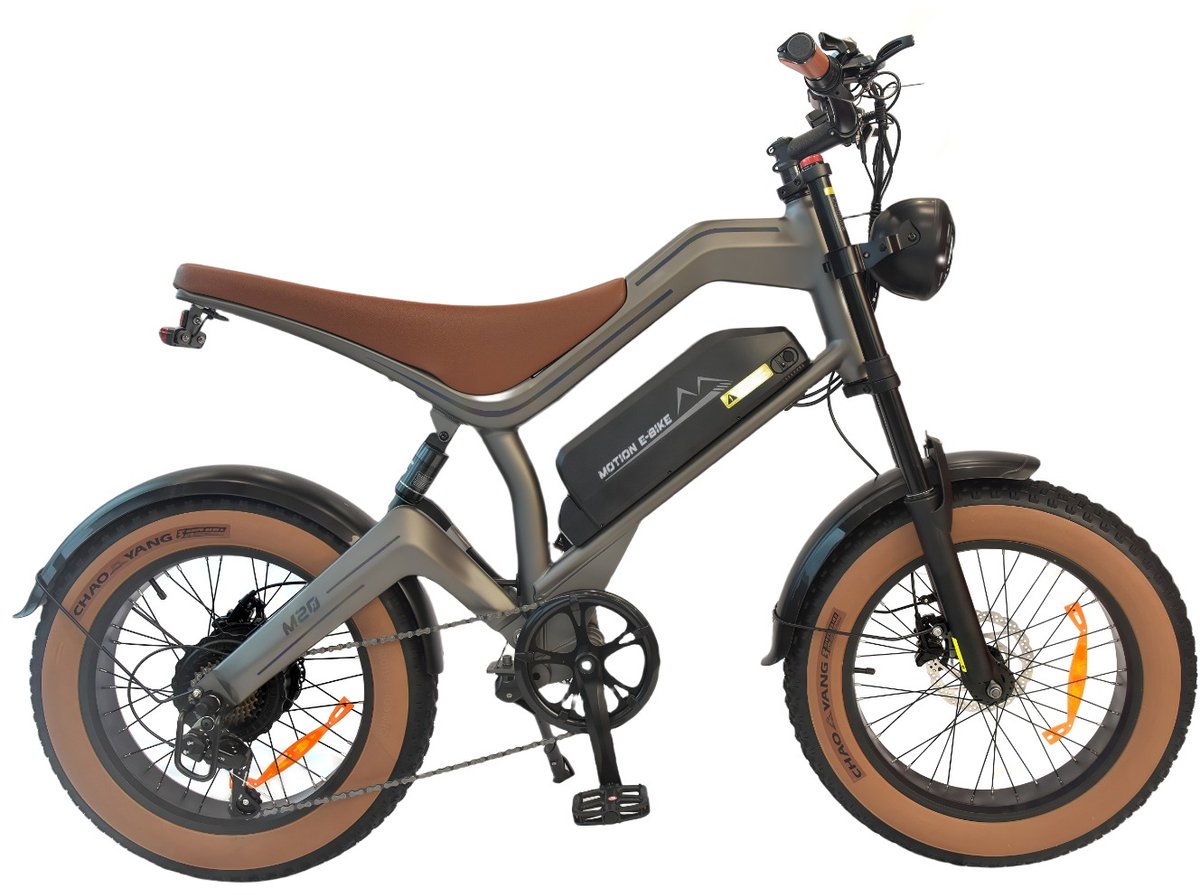 dyu elektrische fiets 20 inch 48v 18 2ah accu 750w motor actieradius tot 60 km schijfremmen lcd display unisex