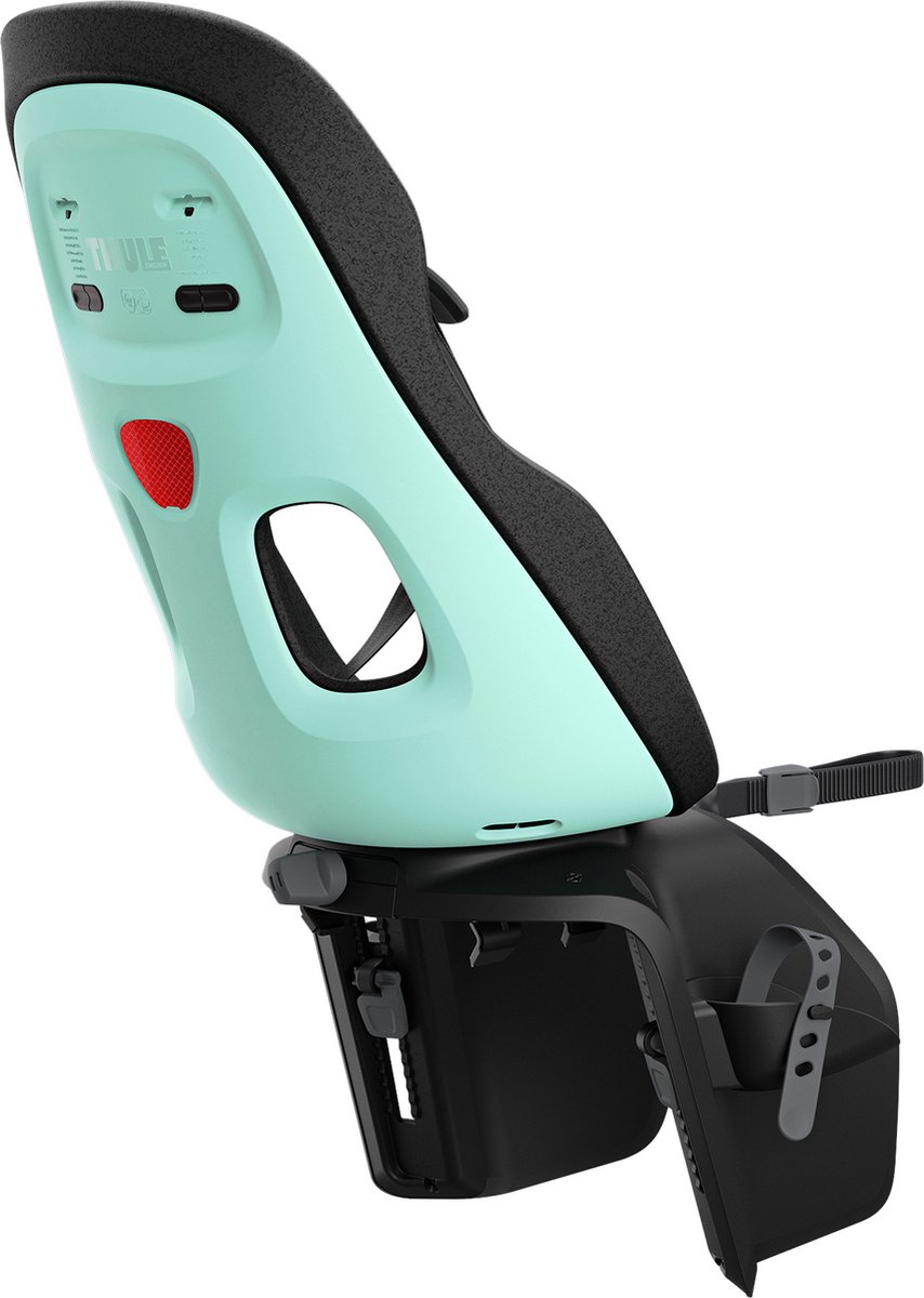 Thule Yepp Nexxt 2 Maxi Fietsstoeltje Achter RM - Bagagedrager - E-bike - Mint Groen Fiets kopen online