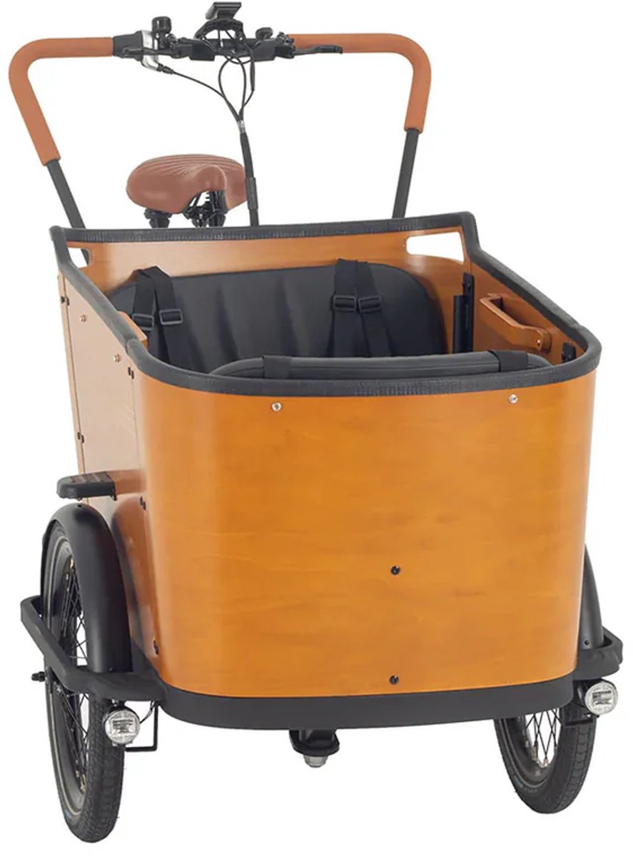 CabooCargo Bakfiets Family Cargobike 7 versnellingen Enviolo 48V 13.4Ah Fiets (elektrisch) kopen online