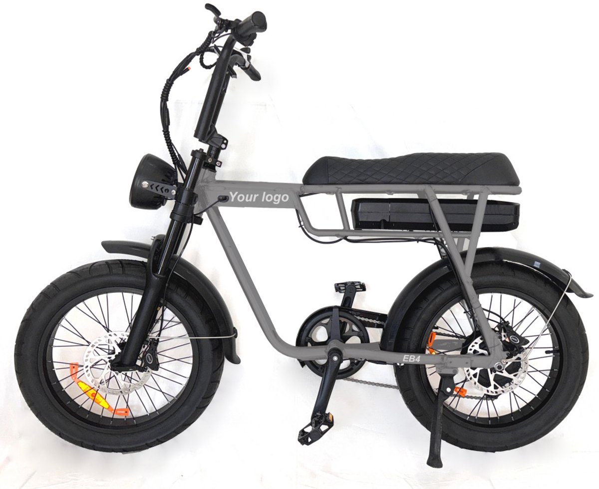 fatvolt eb2 fatbike 20 inch 250w motor 80 km actieradius grijs