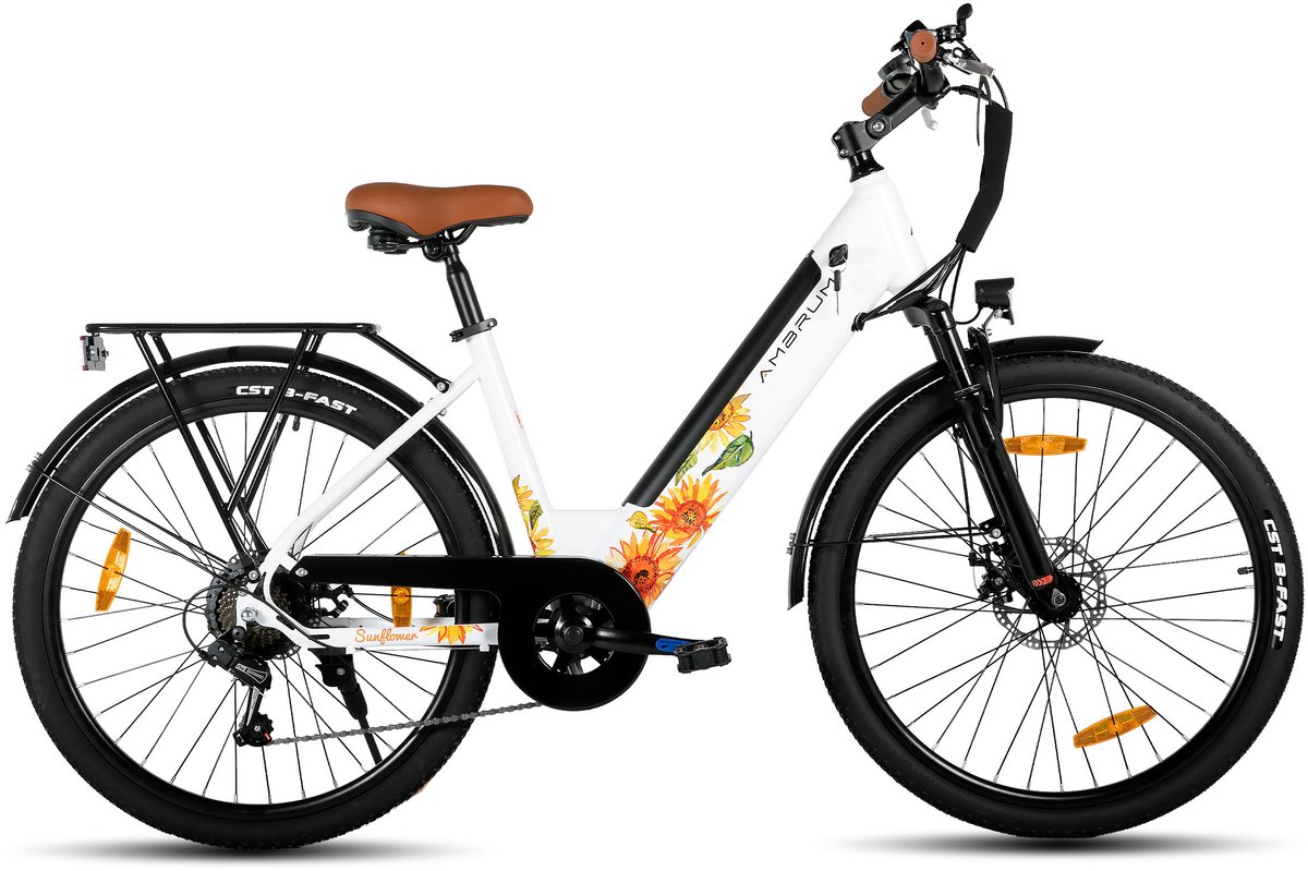 HILAND Starry elektrische stadsfiets - 26 inch - 250W motor - 50km actieradius - 36V 7.8Ah accu - Shimano 7-versnellingen - Unisex - Wit Fiets (elektrisch) kopen online