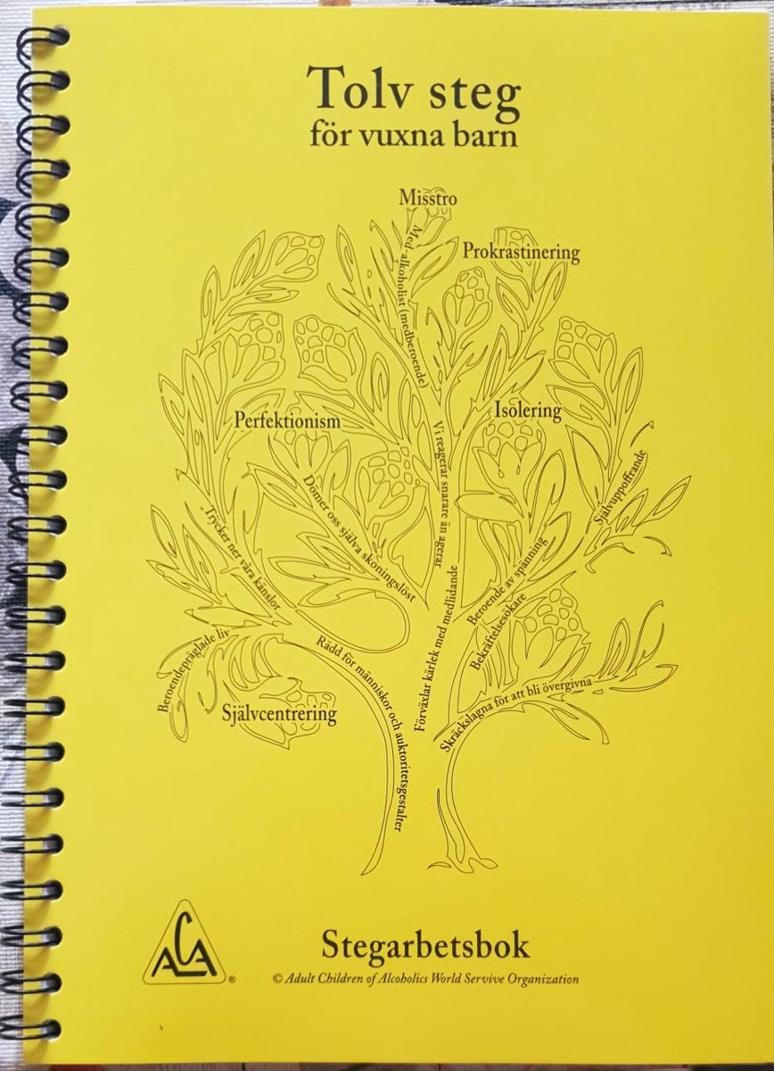 Dailygoods- Werkboek Volwassen Kinderen - Spiral Binding - Zelfhulpboek - Oefeningen - Vragenlijsten - Groepstudies - Geschreven door ACA Fellowship Step kopen online