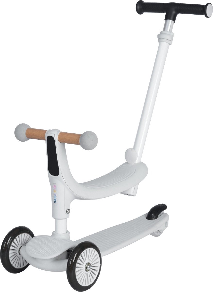 Eco Toys Flynn Wit/Zwart 2-in-1 Kinderstep met Duwstang Loopfiets kopen online