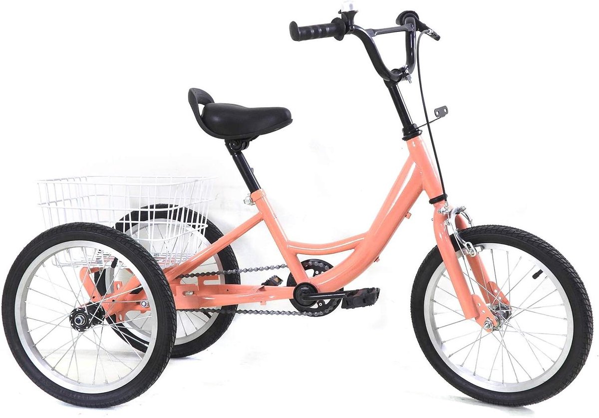 Kinderdriewieler - Driewieler Fiets - Veilig Buiten Spelen - Robuuste Stalen Frame - 16 Inch - Roze Driewieler kopen online