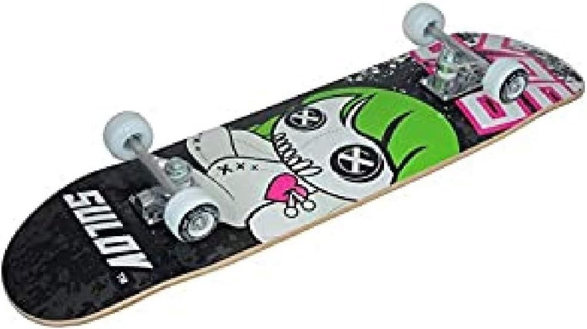 beginners skateboard 31 inch wit deck