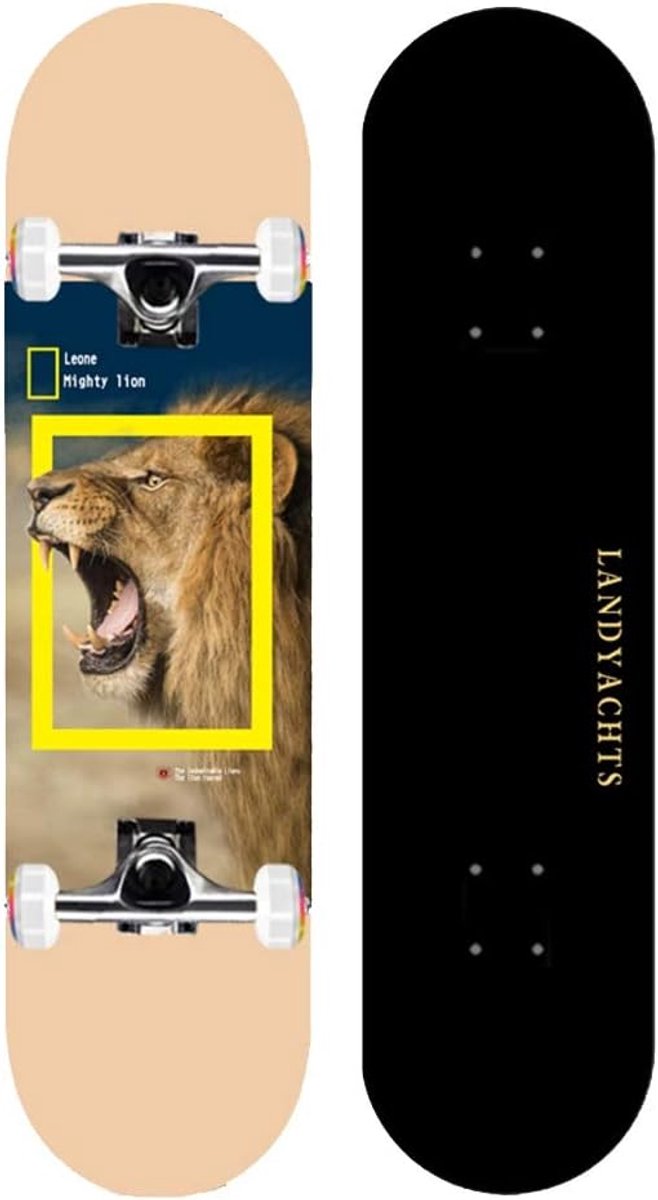 Longboard Skateboard - Vier Wiel Board - Buiten Rijden - Dubbele Kick Tail - 31 x 8 Inch - Optioneel Longboard kopen online